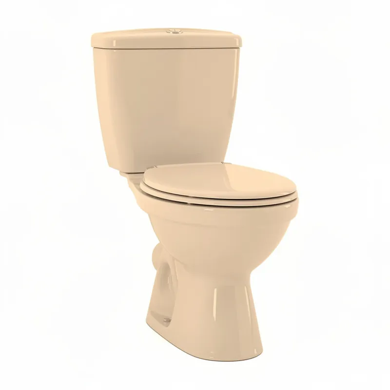 Remplacement de WC Paris6